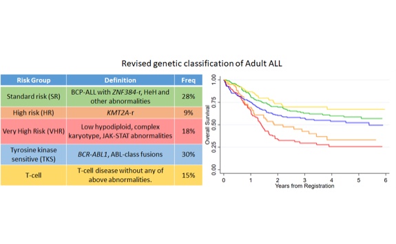 Personalised Medicine